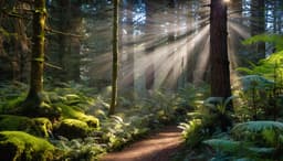 The Enchanted Hollow