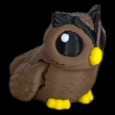 Hoot